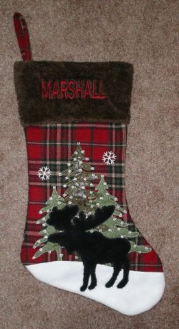 christmasstockingname_120922_2.jpg