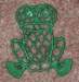 fsl_frog_0312_small.jpg
