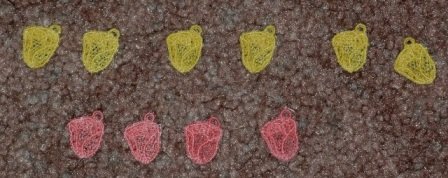 fsl_fsl040420117.jpg