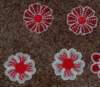 fsl_fslflowers031611_3_small.jpg