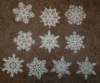 fslsnowflakes_0110172_small.jpg