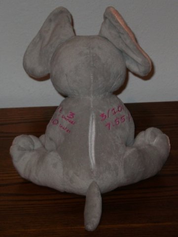 heartbeatelephant_0313164.jpg