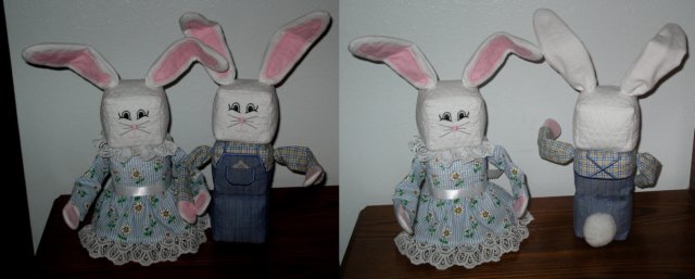 miscellaneous_sns_springinfebruarybunny2013.jpg