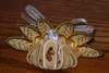 turkeykissholder_103017_small.jpg