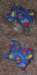 pincushion_021414_small.jpg