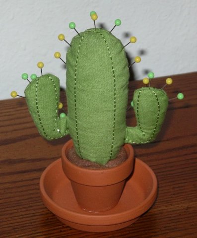 pincushion_cactus_081618_2_back.jpg