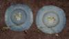 pincushions_espincushion20112_small.jpg